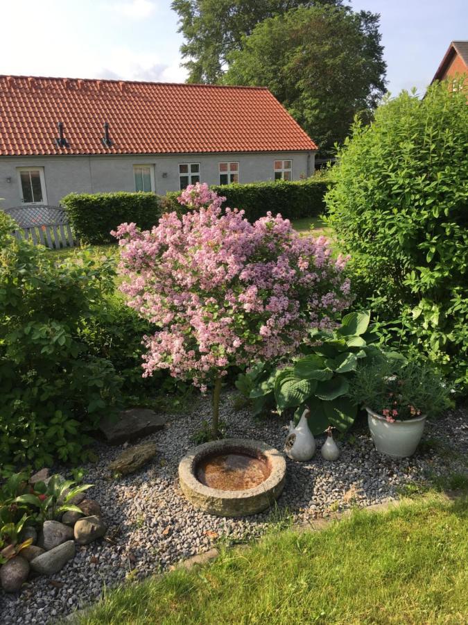 Anneks Til Bondehus Apartment Randers Exterior photo